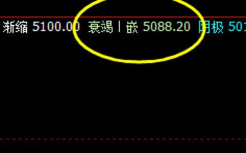 棕榈：28日精准触及系统衰竭波并回升