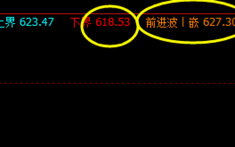 铁矿石：13日截止午盘价格精准波动