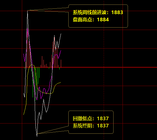 焦炭：24日极端精准波动于系统规则之内