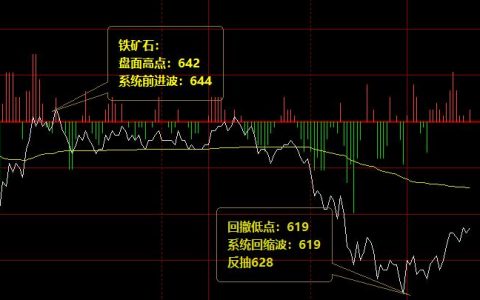 铁矿石：24日价格结构精准波动