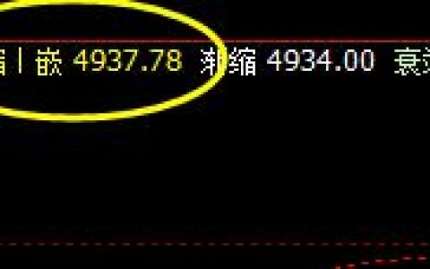 棕榈，精准完成价格修正