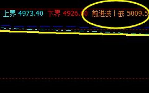 棕榈，系统前进波实现精准而完美的回撤