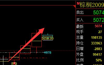 棕榈，多空信号结构，精准转折