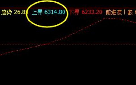 棕榈  盘面价格高点，精准触及系统上界