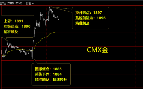 美黄金  精准价格波动结构