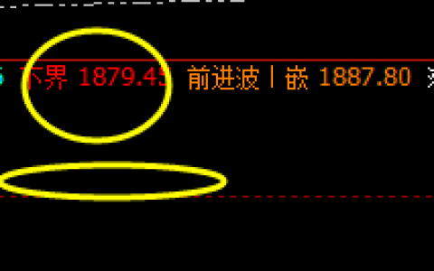 美黄金：精准波动，利润最大化、高低点精确触及