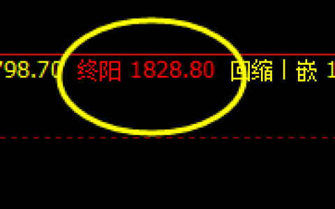 焦煤：疯狂背后的极端波动，价格触及周线极端