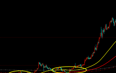纸桨：多空趋势结构，价格结构的产物