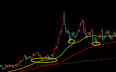 橡胶：以价定势、以规则跟踪之