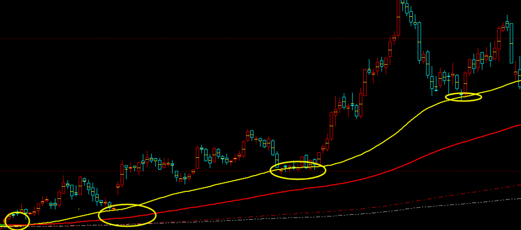 多空趋势：精准短线多空趋势结构，成本与利润的表现