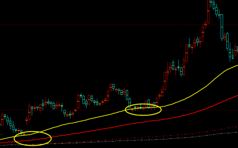 多空趋势：精准短线多空趋势结构，成本与利润的表现