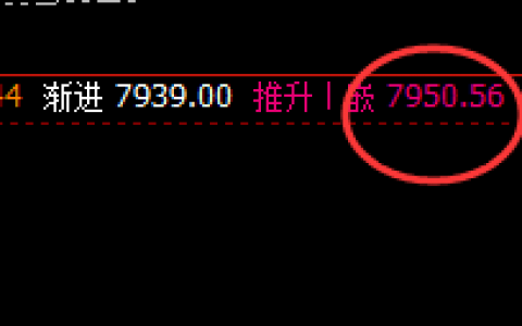 猛硅：2小时推升波精准洗盘，机会不是等待