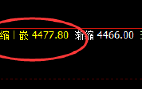 LPG：规精准则化波动，神奇的运行结构