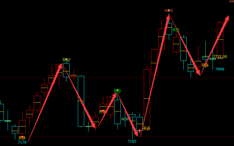 猛硅：日线（多空信号）100%领先精准转折结构