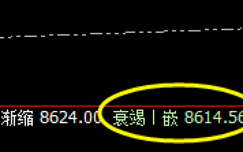 棕榈：4小时低点精准拉升，午后拉升达近3.8%