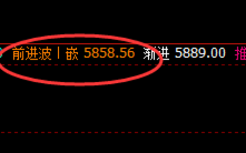 LPG：你无法读懂的波动，却因规则而精准运行