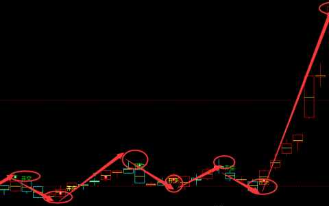 沪锌：日线（多空信号）95%精准转折结构