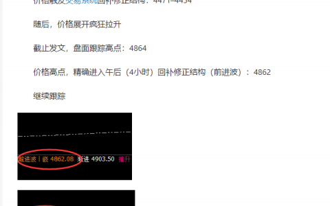 螺纹：今日双向波动交易利润合计：390点左右