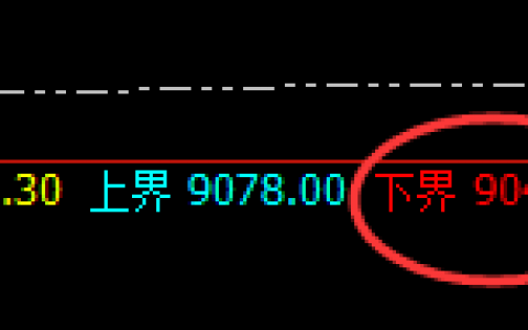 棕榈：涨超2%，4 小时强势低点精准拉升