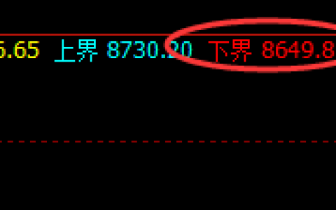 PP：涨超4%，价格低点精准规则化触及并强势拉升