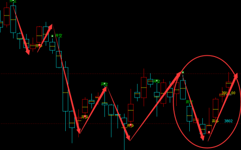豆粕：日线（多空信号）精准转折，结构趋于完美