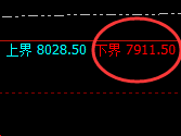 棕榈：涨超5%，试多低点精准强势拉升