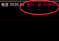 PTA：涨超3.5%，精准强势的周线回升结构