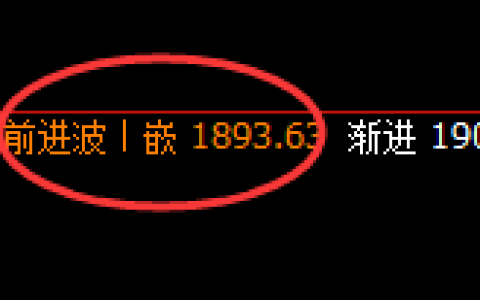 焦煤：日线修正高点，精准实现快速回撤