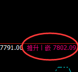 聚丙烯：4小时周期精准展开单日结构性振荡