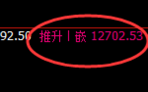 橡胶：4小时结构精准展开规则化弱势振荡