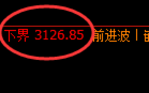 菜粕：日线试仓低点精准强势回升