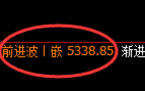PTA：日线策略高点精准回撤，低点成功展开回补
