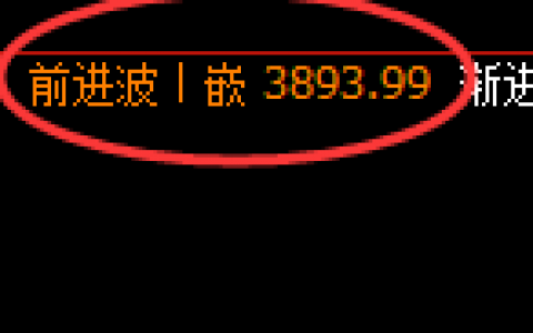 豆粕：日线结构高点精准触及并极端快速杀跌