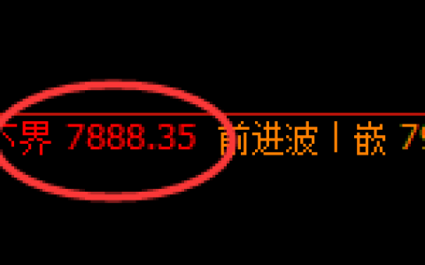 聚丙烯：4小时拉升，周线高点精准冲高回落