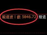 PTA：日线回补结构精准触及并直线杀跌洗盘