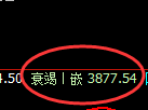 沥青：日线完整周期精准展开宽幅运行结构