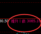 菜粕：日线结构精准展开强势宽幅波动