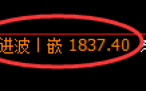 焦煤：日线跟踪结构，任何波动都将发生全部的利润