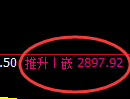 菜粕：涨超1%，4小时低点精准实施强势拉升