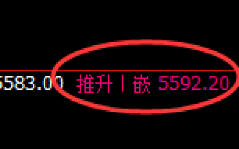 PTA：4小时结构高点，精准展开冲高回落