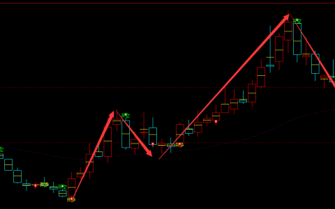 嘉和美康科技 688246：周线精准多空转折结构