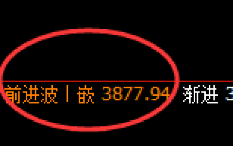 液化气：日线高点精准展开快速冲高回落