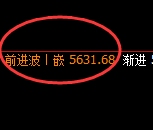PTA：日线洗盘低点，精准展开止跌回升