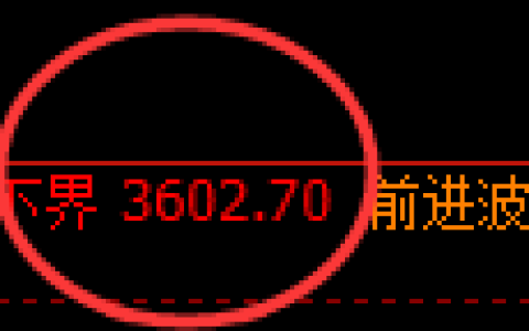 豆粕：涨超3%，试仓低点精准展开强势拉升