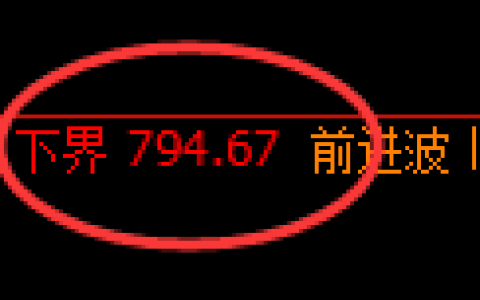 铁矿石：涨超2.5%，试仓低点精准展开极端强势拉升