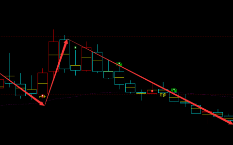 双飞股份 300817：周线超95%多空精准转折结构