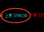 沥青：日线低点，直线展开精准强势拉升