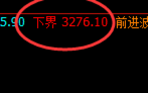 菜粕：试仓低点，精准展开极端强势拉升