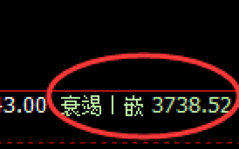 沥青：日线低点，精准展开极端强势拉升