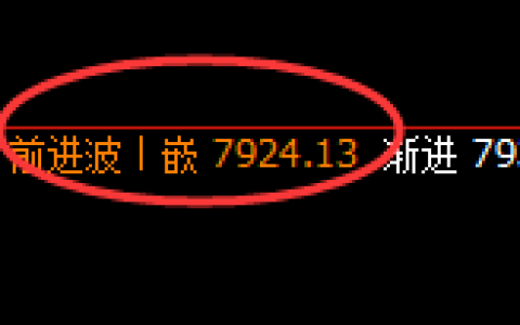 聚丙烯：日线周期，精准展开区间弱势振荡
